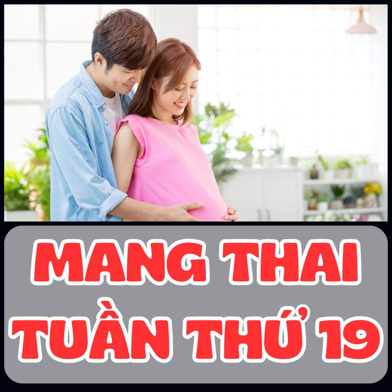 Mang thai tuần thứ 19 lời khuyên dành cho các ông bố